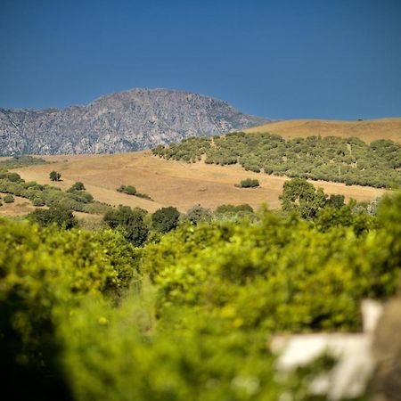 Finca Los Pajaros San Pablo Екстериор снимка