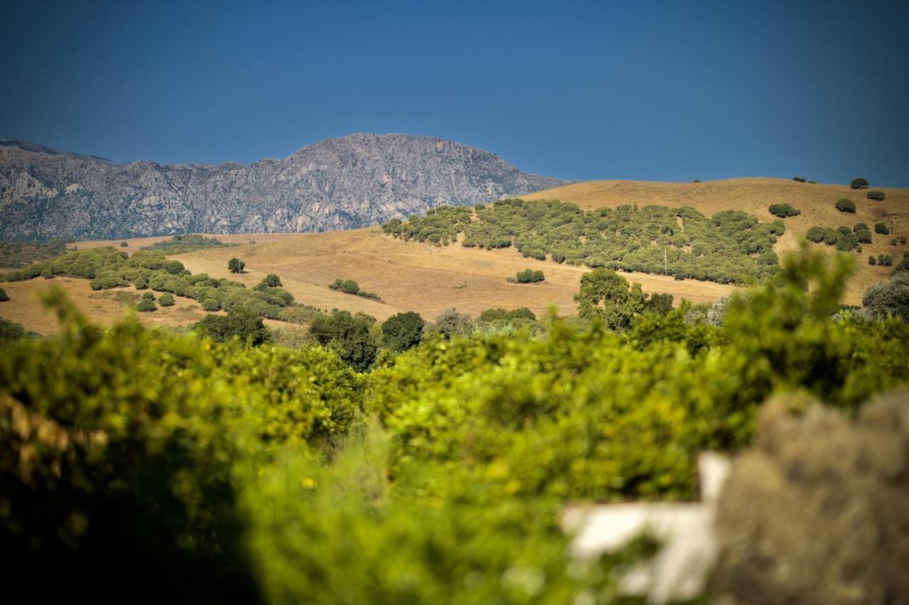 Finca Los Pajaros San Pablo Екстериор снимка